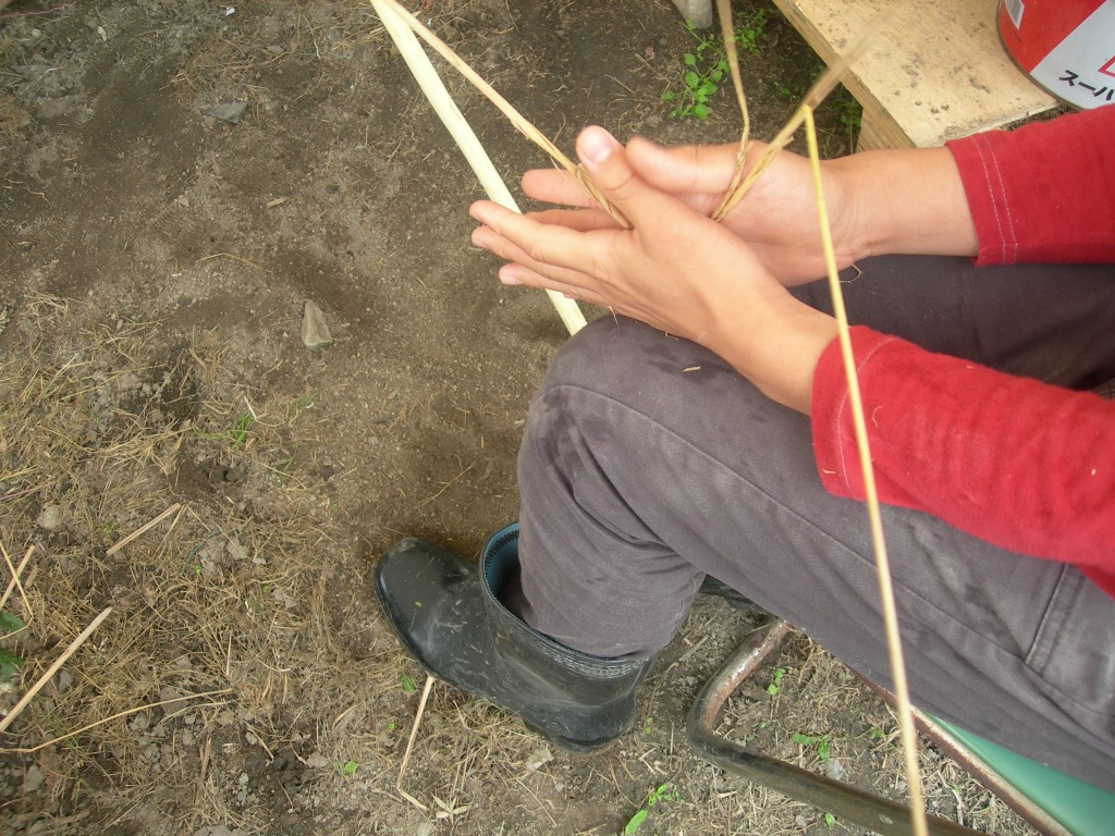 トライやるウィーク３日目は、縄編みと刃物の安全な使い方を学びます。