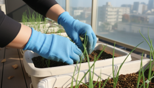 【タマネギをプランターに植えている手元のアップ】