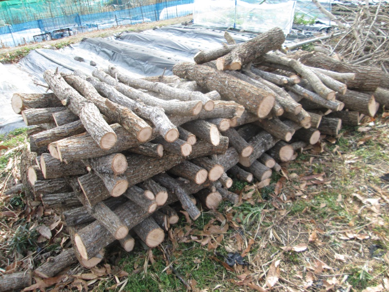 井桁に積んだくぬぎの原木