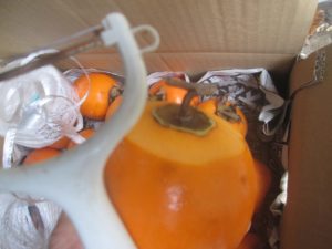 ピーラーで渋柿の皮をむいている様子