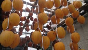 吊るしてまだ柔らかい渋柿