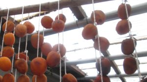 数日経った渋柿の変化