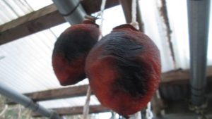 白い粉が吹いた少し黄色い干し柿