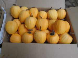 皮をむいた渋柿