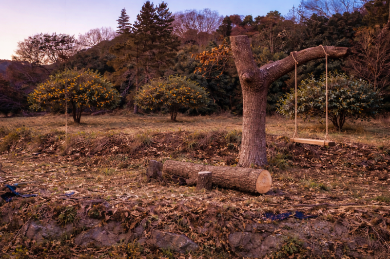 遊具のイメージ