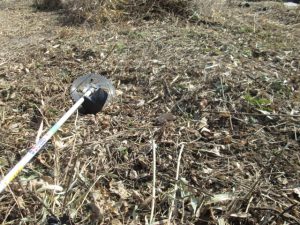 刈り倒されたツルや雑草